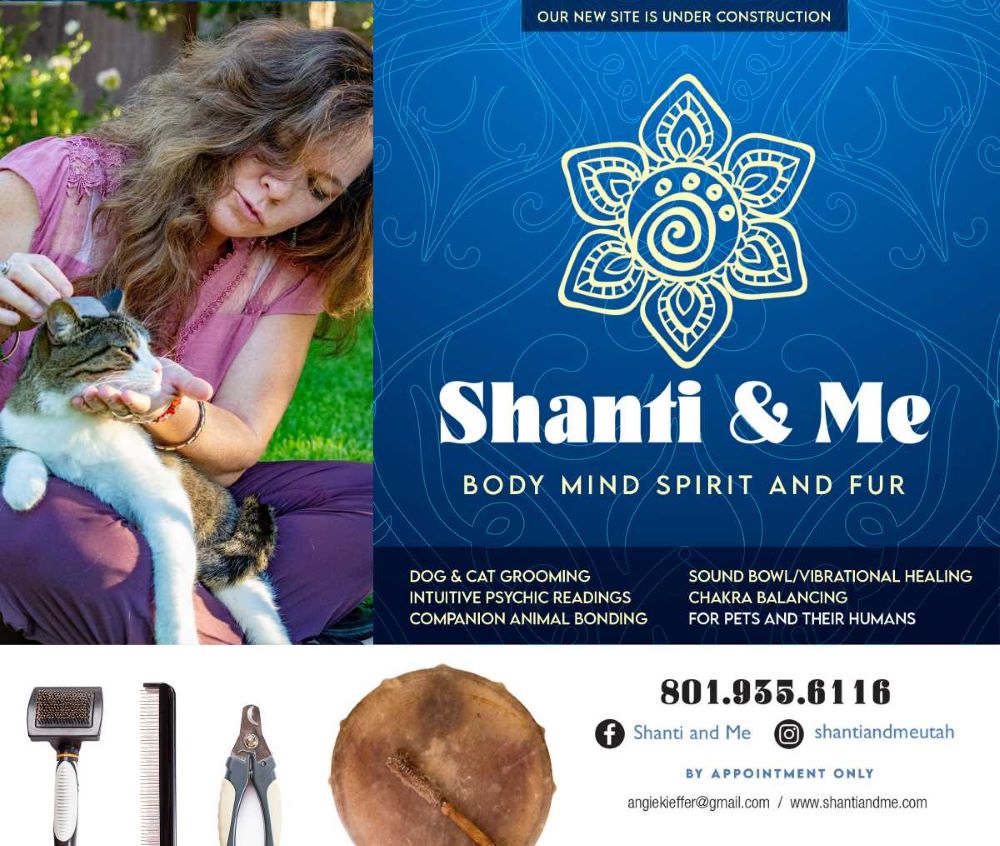 Shanti Landing Page