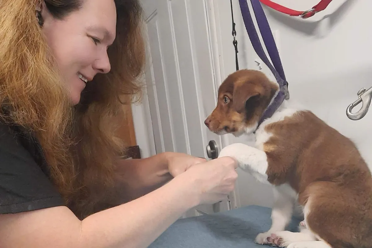 A dog resting a paw in Shanti's hands on the grooming table