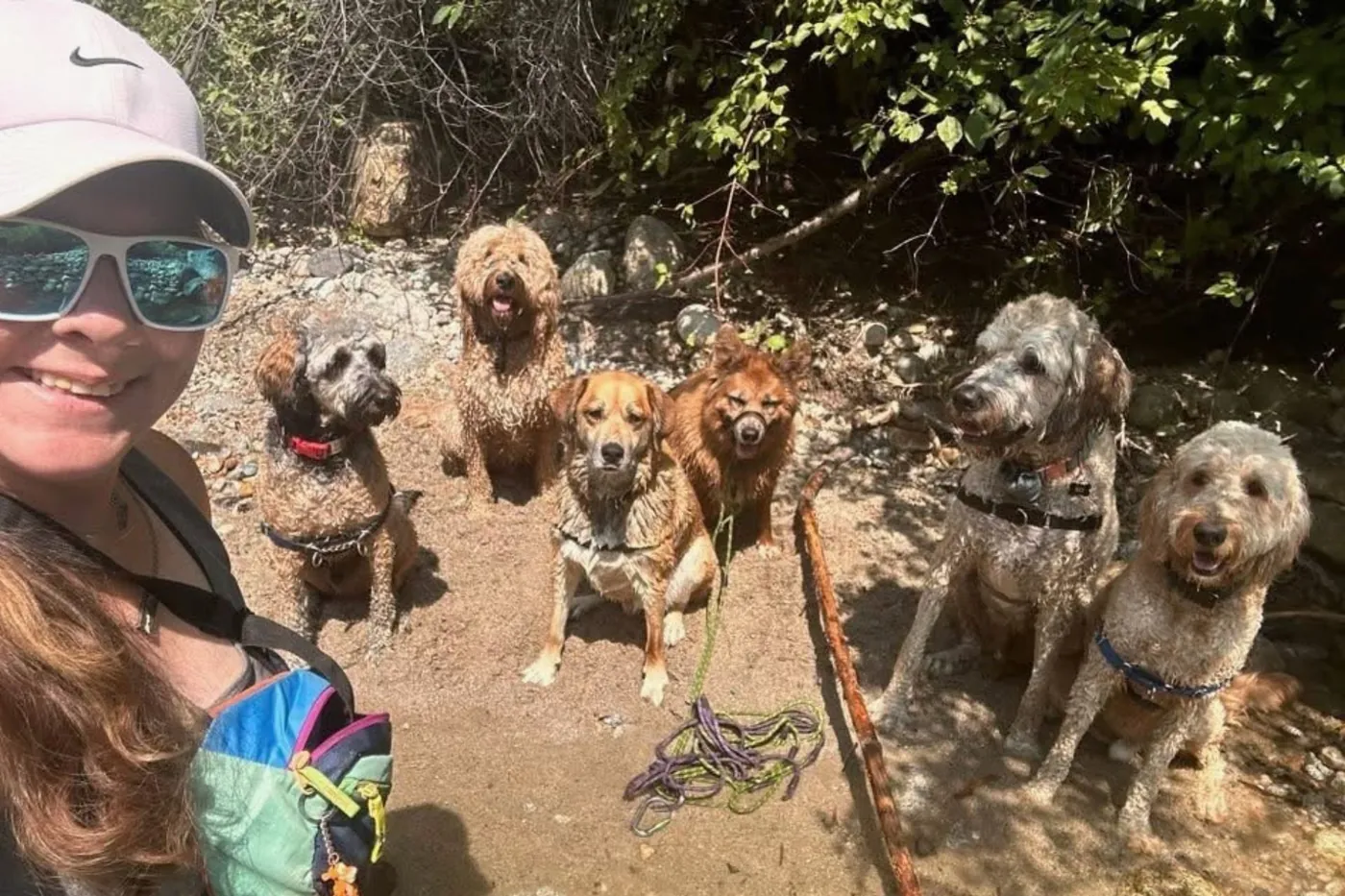 Dogs and their guide taking a selfie on a hike